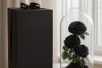 Black Preserved Rose