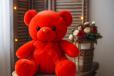 Red Teddy 24cm