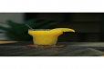 Fresh Orange Juice