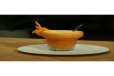Carrot Fusion