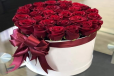 Velvet Passion