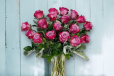 Blush Elegance