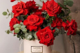 Scarlet Elegance