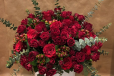 Royal Bloom