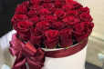 Velvet Passion