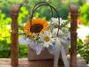 Sunshine Bliss Basket