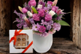 Lush Lavender Gift Set