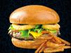 Fresh Grilled Angus Burger
