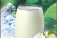 Tender Coconut Shake