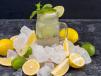 Lemonade Mojito