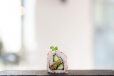 Falafel, Hummus and Cucumber Maki