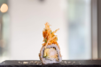 Emperor Roll Maki
