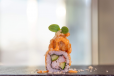 Volcano Maki