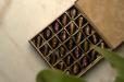 FILLED DATES BOX 5X5