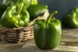 GREEN PEPPER