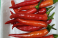 Fresh Chilli