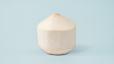 Fresh Whole Coconut Water