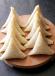 Chicken Samosa (RTF)
