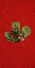 fatoosh salad