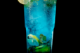 Blueberry Mojito