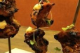 Chicken Tikka Yoghurt