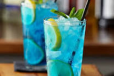 Blueberry Mojito