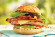 Chicken Lemon Burger