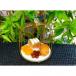 Persian Mixed Sweets