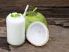 Tendor Coconut