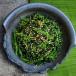 Spicy Spinach Gomaae / سبانخ غوماي الحارة