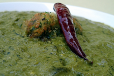 Palak Kofta