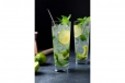 Mint Lemon Juice