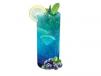 Blueberry Mojito