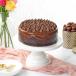 Choco Nutella Cake (500 gm)