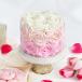 Pink Ombre Roses Cream Cake (500 Gm)