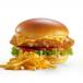 Southern Fried Chicken Burger ( with fries )