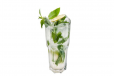 Classic Virgin Mojito