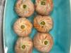 Veg Schezwan Momos