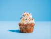 Vanilla Cupcake With Sprinkles