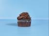 Chocolate Ganache Cupcake