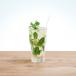 Classic Mojito