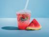 Watermelon Mojito
