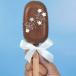 Chocolate Cakesicle