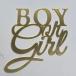 Boy Or Girl Topper 0029