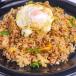 Salted Fish Fried Rice