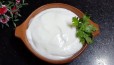 garlic sauce تومية 