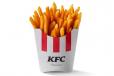 Family Spicy Fries