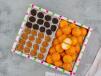 Cheese Lokaymat With Magic Ball Oreo Lotus