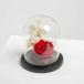 Red Forever Rose In Glass Dome