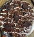 Orio pia